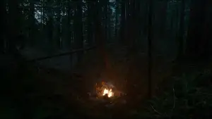 Backdrop to the movie "The Revenant" #516965