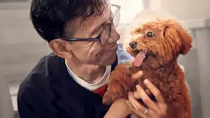 Backdrop to the movie "Pets" #670832