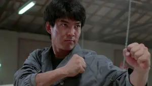 Backdrop to the movie "Righting Wrongs" #457887