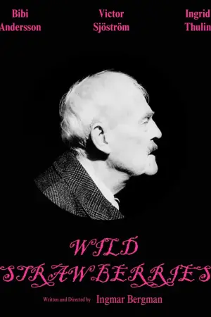 Poster to the movie "Wild Strawberries" #693429