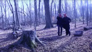 Backdrop to the movie "GREED" #538433