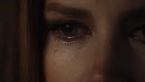 Backdrop to the movie "Nocturnal Animals" #506680