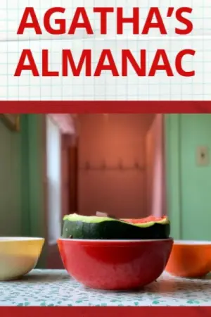 Poster to the movie "Agatha’s Almanac" #820099