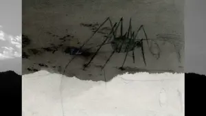 Backdrop to the movie "SQUARE BLACK" #449277