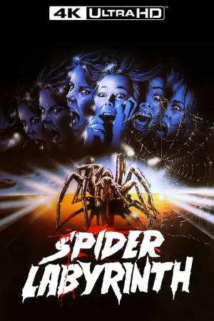 Poster to the movie "The Spider Labyrinth" #771944