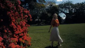 Backdrop to the movie "The Wing Girl" #416645