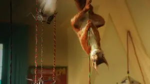 Backdrop to the movie "Flora & Ulysses" #414604