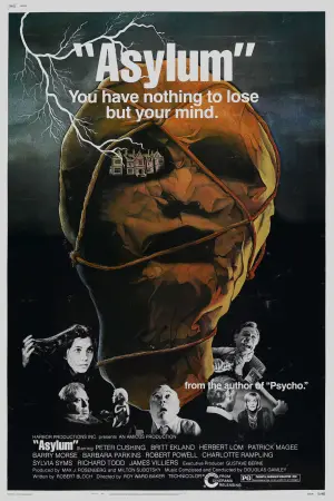 Poster to the movie "Asylum" #677992