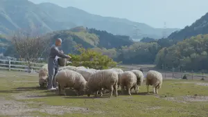 Backdrop to the movie "Crows Are White" #769665