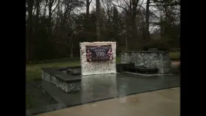 Backdrop to the movie "Just a Home Movie" #448988