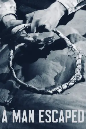 Poster to the movie "A Man Escaped" #751812