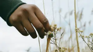 Backdrop to the movie "Nettles" #672583