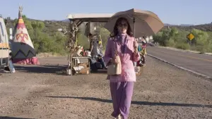 Backdrop to the movie "Transamerica" #244909