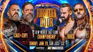 Backdrop to the movie "AEW x NJPW x CMLL x Stardom Present Forbidden Door 2026" #926982