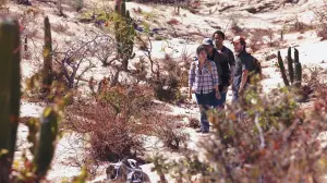 Backdrop to the movie "Desierto" #304242