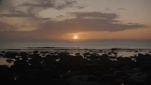 Backdrop to the movie "Dune" #529650