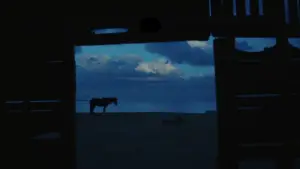 Backdrop to the movie "My Father