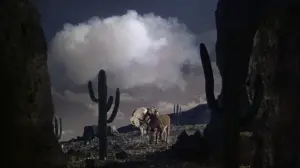 Backdrop to the movie "3 Godfathers" #693502