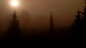 Backdrop to the movie "Dry Leaf" #623398