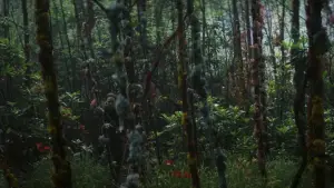 Backdrop to the movie "Annihilation" #618584