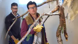 Backdrop to the movie "Deck the Walls" #700275