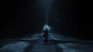 Backdrop to the movie "Nosferatu" #552838