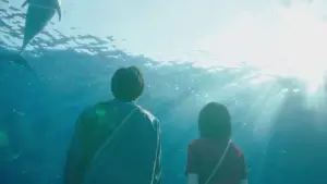 Backdrop to the movie "Even if This Love Disappears from the World Tonight" #631773