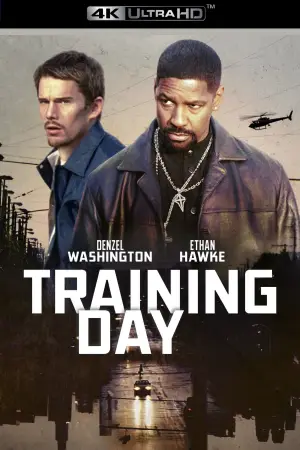 Poster to the movie "Training Day" #789704
