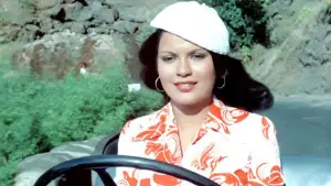 Backdrop to the movie "Ajanabee" #742109