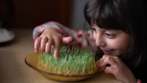 Backdrop to the movie "Shayda" #365542