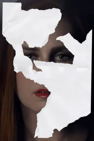 Poster to the movie "Nocturnal Animals" #506709