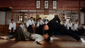 Backdrop to the movie "Fist of Legend" #793326