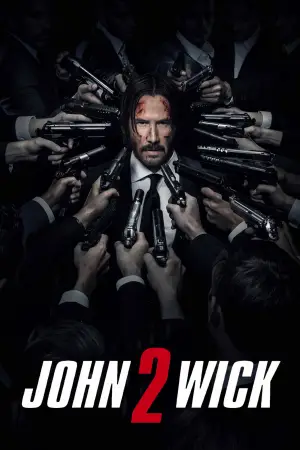 Poster to the movie "John Wick: Chapter 2" #748319