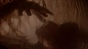 Backdrop to the movie "Body Snatchers" #648312