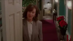 Backdrop to the movie "Home Alone" #849110