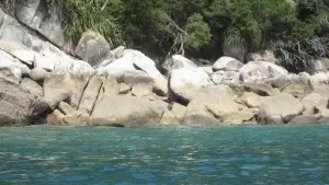 Backdrop to the movie "The Other Side of Heaven" #458040