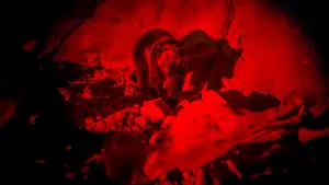 Backdrop to the movie "Savage Hunt" #609181