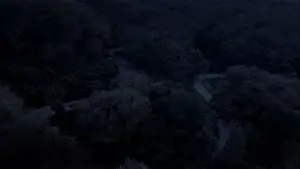 Backdrop to the movie "Alas Roban" #534045