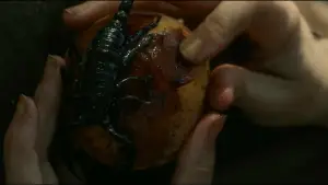 Backdrop to the movie "The Carpenter