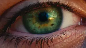 Backdrop to the movie "Chasing Light" #736621