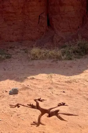 Poster to the movie "Coyote vs. Acme" #627566