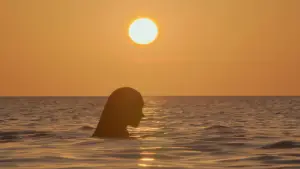 Backdrop to the movie "The Little Mermaid" #578309