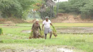 Backdrop to the movie "Bison Kaalamaadan" #786350