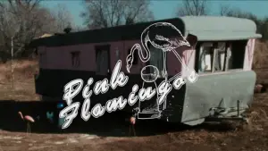 Backdrop to the movie "Pink Flamingos" #612040