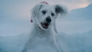 Backdrop to the movie "Superman: Legacy" #513700