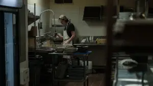 Backdrop to the movie "The Dishwasher" #792416