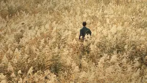 Backdrop to the movie "Decoded" #679598