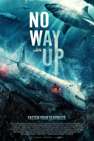 Poster to the movie "No Way Up" #747018