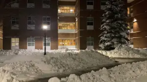 Backdrop to the movie "Contribution" #543198