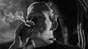 Backdrop to the movie "The Bride of Frankenstein" #897240